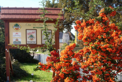 Schlenderweinprobe – bereits ausgebucht!