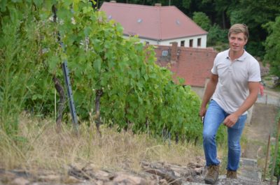 Sektmanufaktur Perlgut