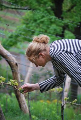 Winzerei Paradiesberg