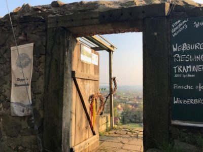 Königlicher Pillnitzer Weinberg