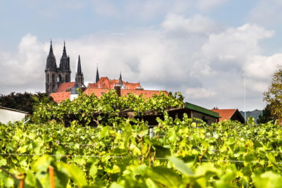 Weinbaugemeinschaft Meißen e.V.