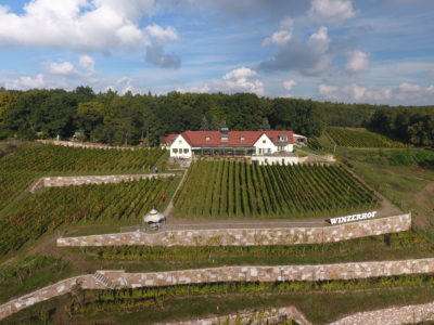 Weingut Herrenberg