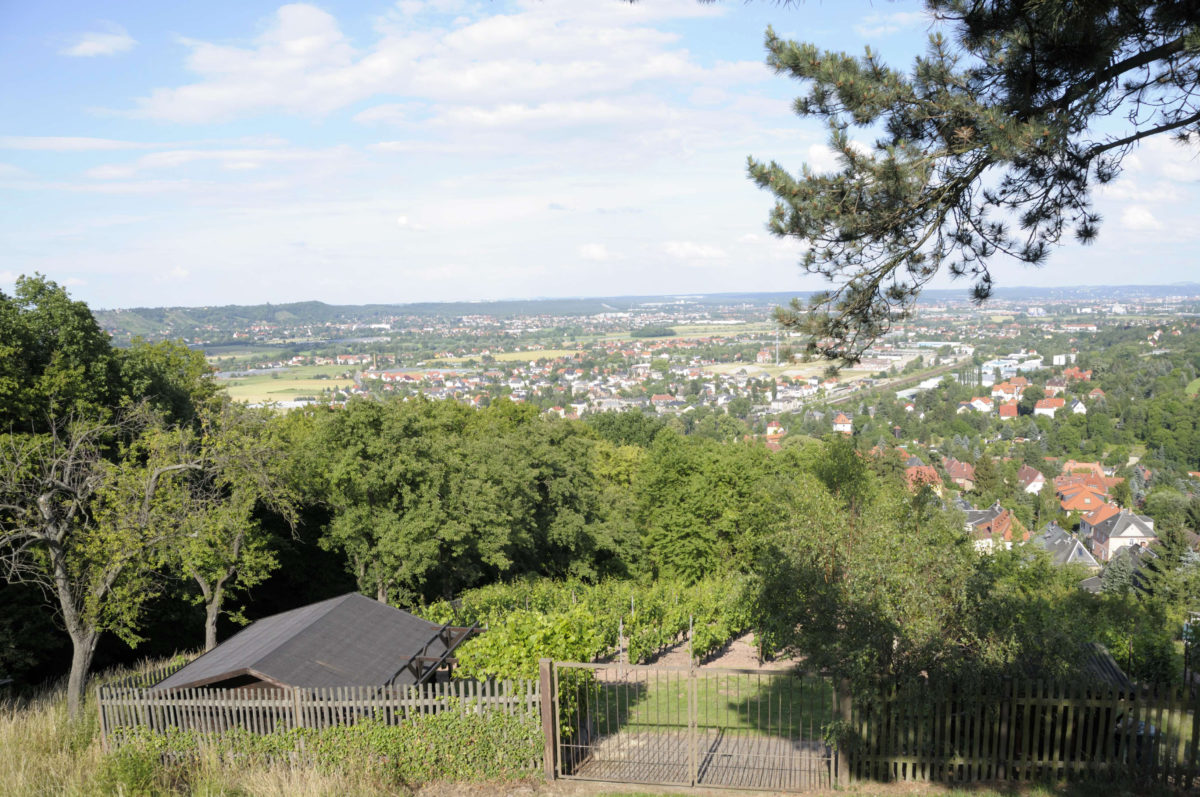 MM_2012-06-23_09798_Weinwanderung_C