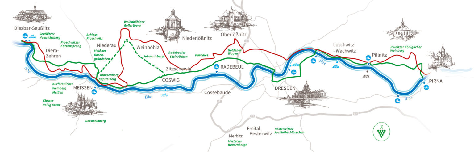 Weinbauverband Sachsen › Eine Rarität - Weine aus Sachsen