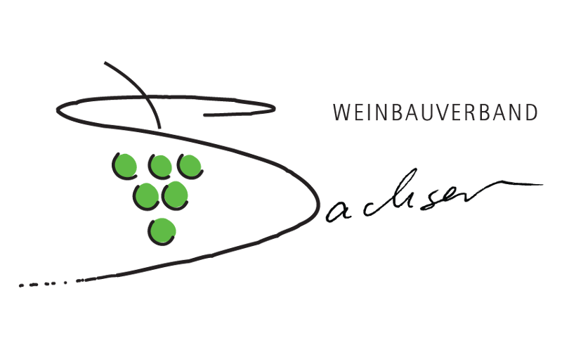 Logo Weinbauverband Sachsen