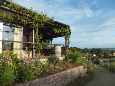 Weinbaugemeinschaft Weinböhla